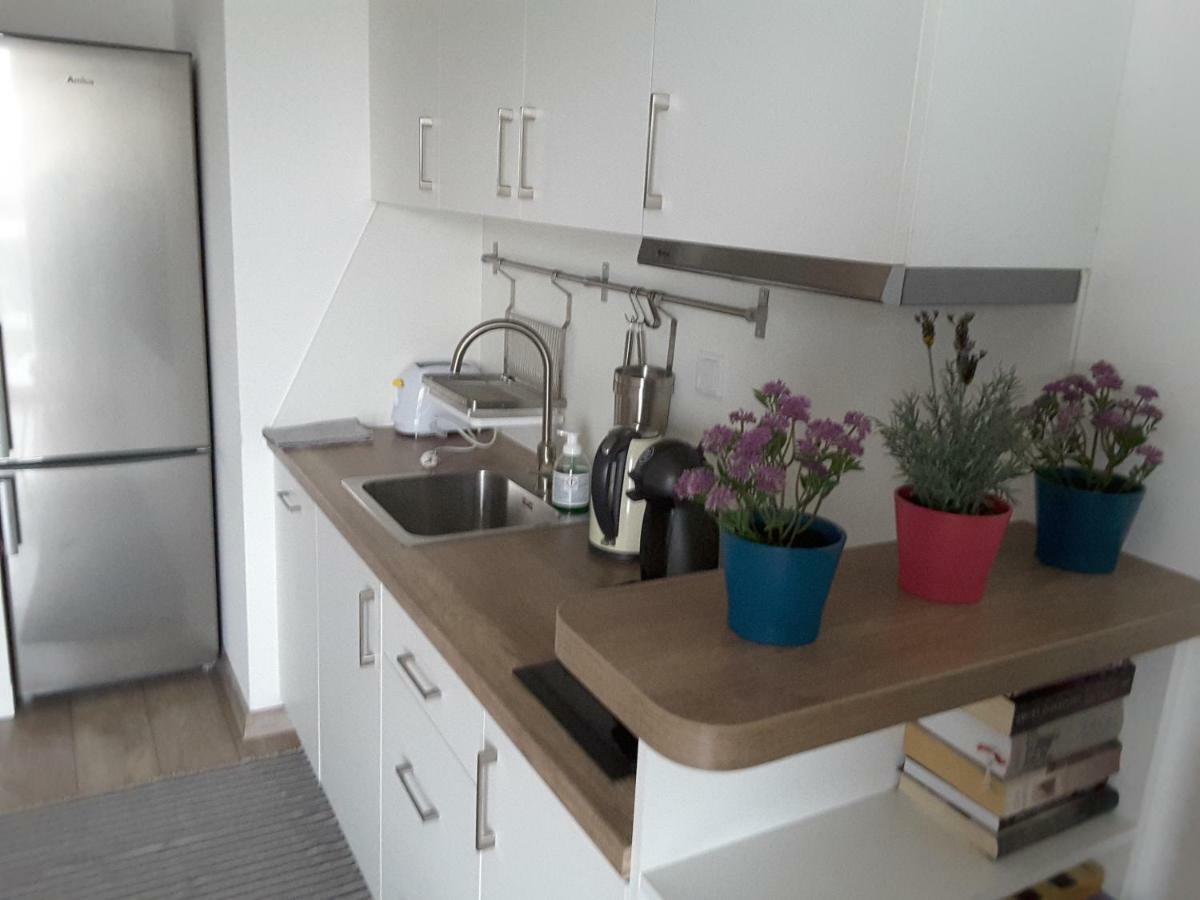 White Swan Apartment Krakow Bagian luar foto